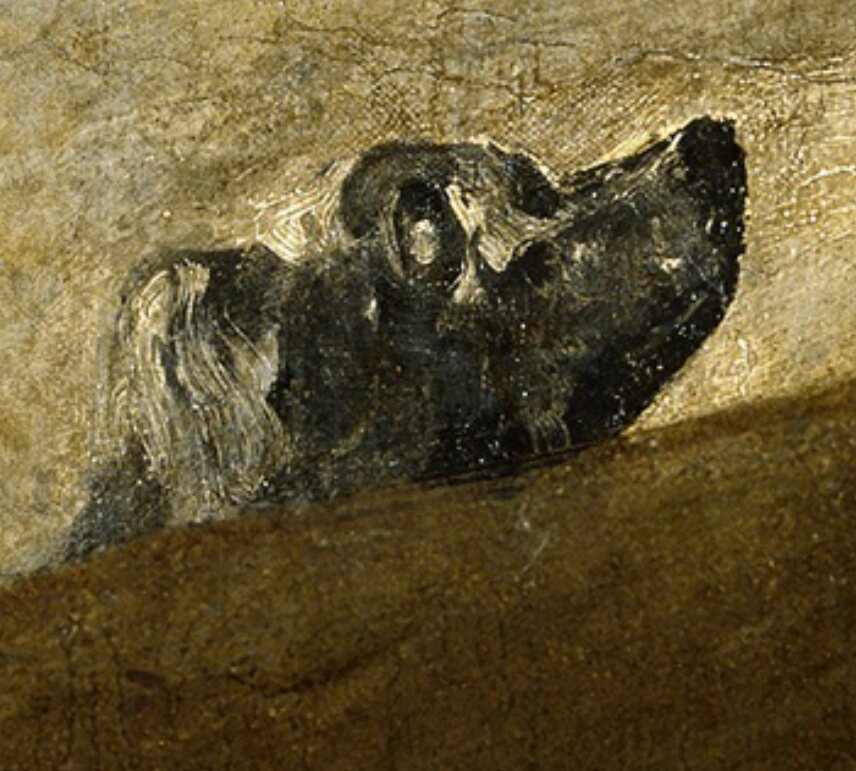 QuoteStephanie's tweet photo. @PointBonita 

#OilOfDog by #AmbroseBierce &amp; #TheDog by #Goya: https://t.co/pv0gOpMiOd

#Literature #Art #MashUp https://t.co/poFySy7SEO