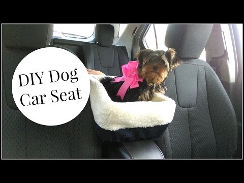 pawsforpeeps's tweet photo. DIY Doggie Seat!
This is an awesome tutorial of a DIY doggie seat.  This sure seems  ... - https://t.co/DJLIgNvt9K - #DiyDogTipsVideo https://t.co/GctuVCfp7U