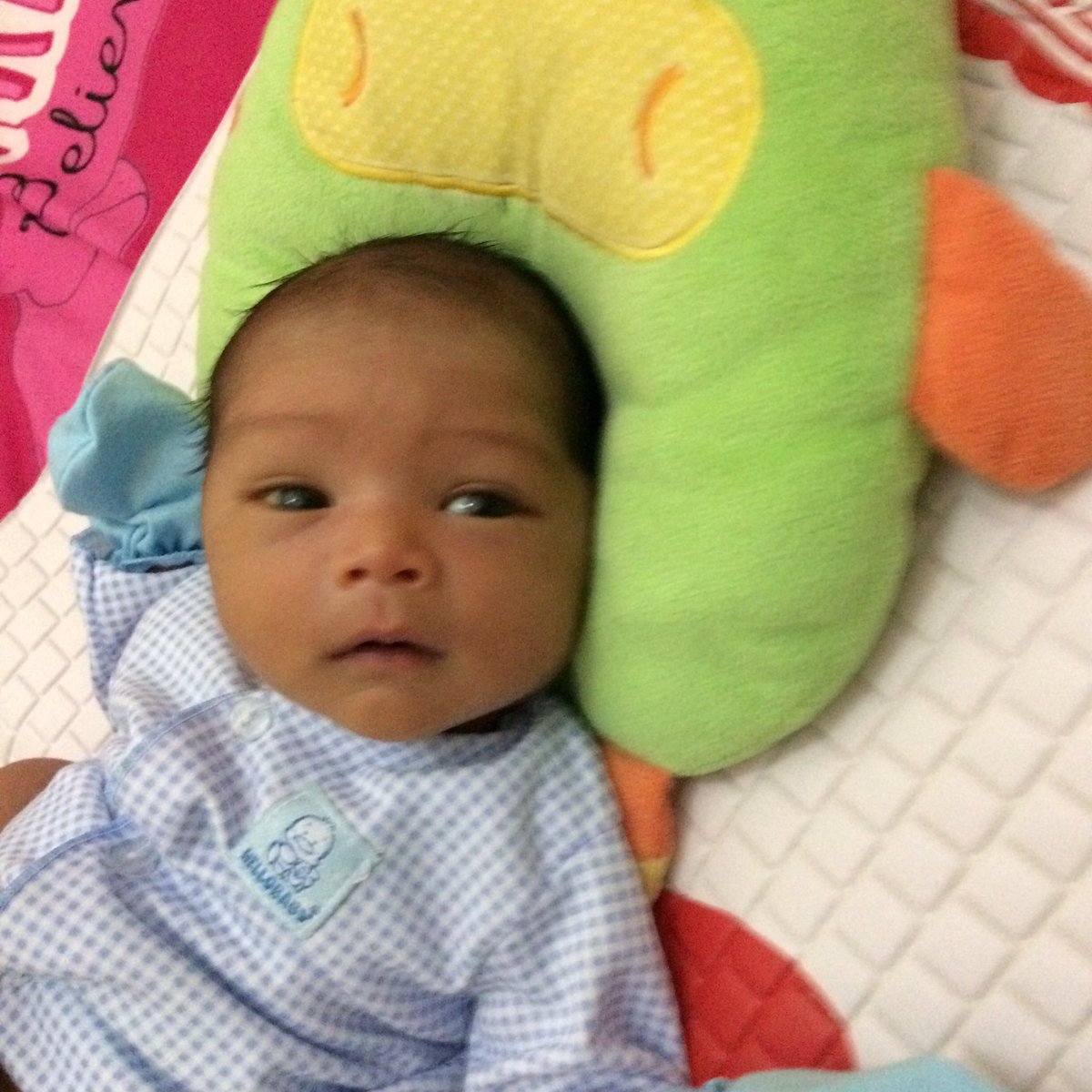 dita_amaliaL's tweet photo. Kangen ogan.. cepet sehat cepet pulang ya sayanggg.. https://t.co/j5CArryDMx