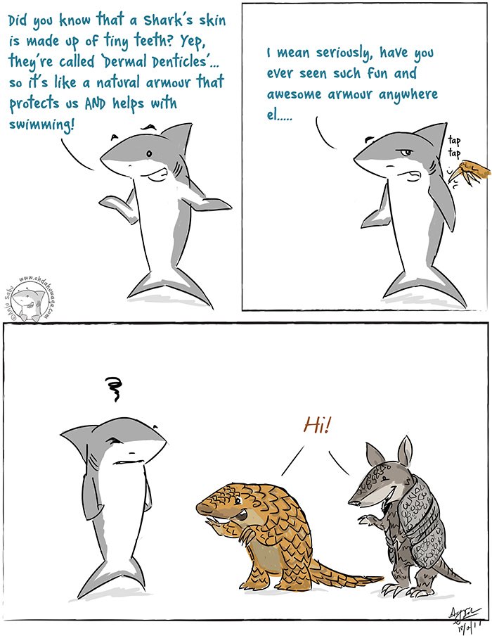 ohdakuwaqa's tweet photo. That's armour! https://t.co/mKzF2986YW #Sharks #Denticles #Sharkcomics https://t.co/XmgHksCi2F