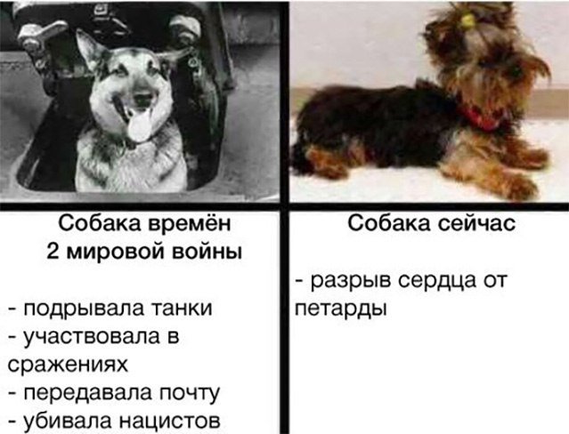 Вот так и живем! (@jivemvot) on Twitter photo 