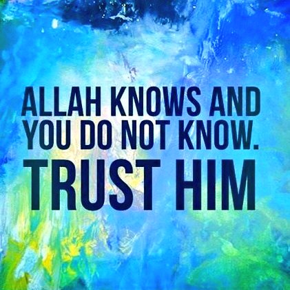 islamblossoms's tweet photo. #blessings #zikr #durood #islam #duas #islamblossoms #Allah #salaah #fajr #islamic #bluequotes
#inspiration #lifequotes https://t.co/2k9XhQiASo
