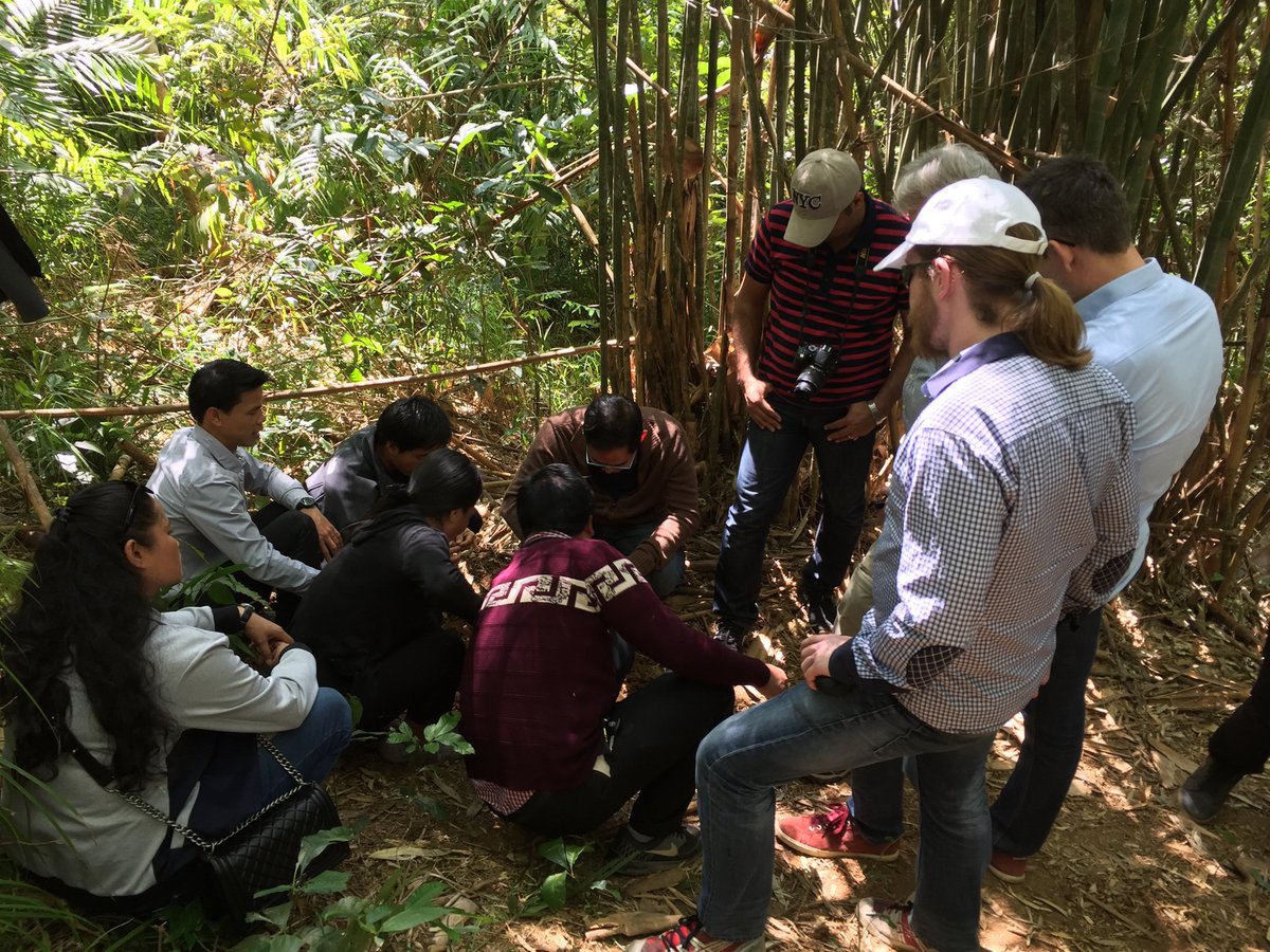 caschnu's tweet photo. Searching locust eggs in a bamboo thicket with trainees of the @mobile4D workshop in Viengkham, Laos. 

cc @capacity_lab https://t.co/gzjNFWAaBU