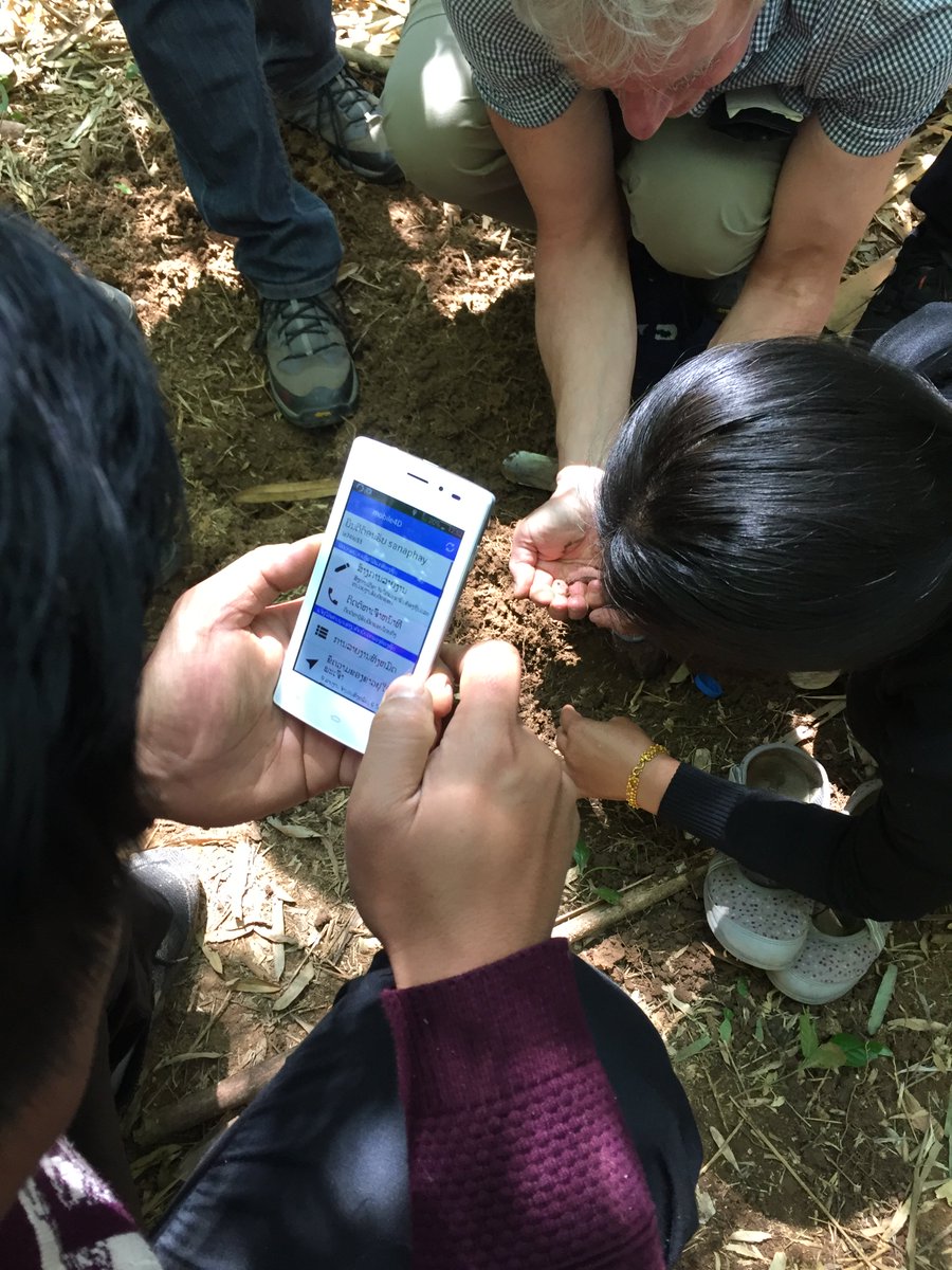 caschnu's tweet photo. Local district official reporting locust eggs through @mobile4D’s locust module during a workshop in Viengkham, Laos. 

cc @capacity_lab https://t.co/o6tJKgnRHC
