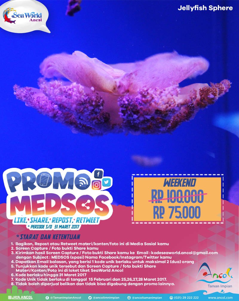 Ikuti Promo MEDSOS SeaWorld Ancol dan dapatkan harga promo Rp. 75.000/orang di Weekend (Sabtu dan Minggu)