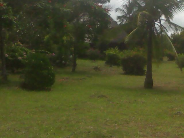 ShomotoRealtorz's tweet photo. Looking for Beach Property?  2.5Acres available, First row Beach  #MTWAPACITY #NORTHCOAST #QuickSaleProperty INFO>>shomotorealtors@gmail.com https://t.co/ko99VNqM7S