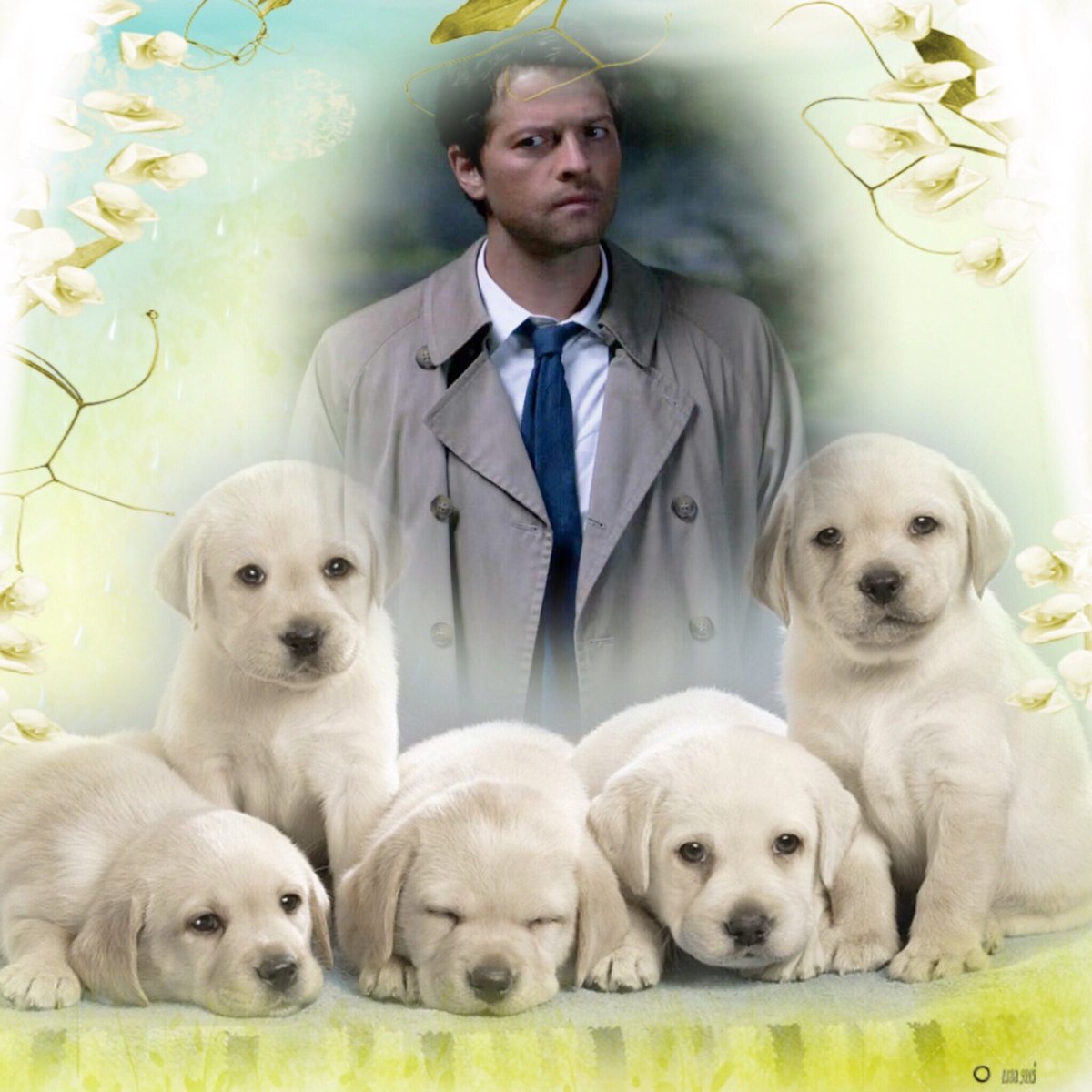 Good Day to my #Castiel/MishaFollowers