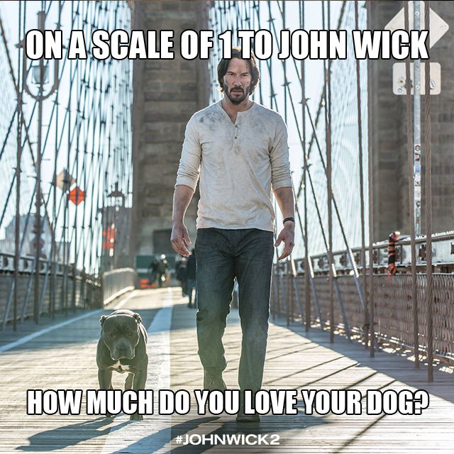 cineworld's tweet photo. Wick is back! Who's off to see Keanu Reeves in #JohnWick2 this weekend? https://t.co/RWZgOyeNIR https://t.co/IVv9UpsItU