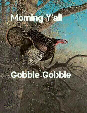 featherfinfurs's tweet photo. Mornin everyone. Y'all ready for turkey season. I know we are... Come join us to see what we do.. https://t.co/cMEu0S7MEW
