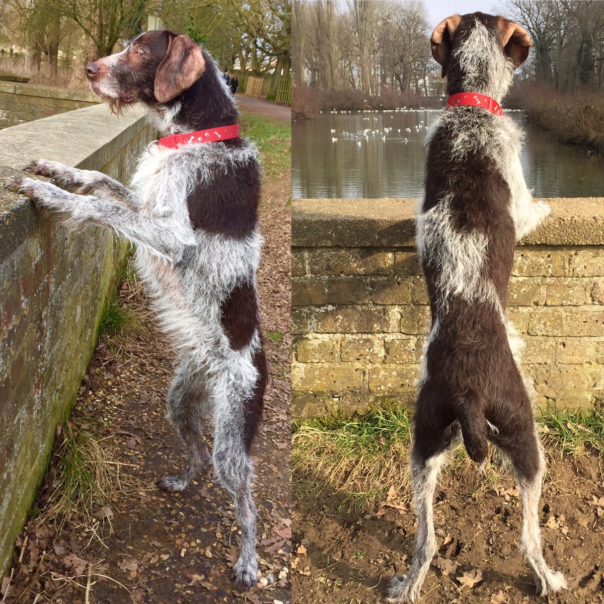 Tony Green (@mrtonygreen) on Twitter photo 