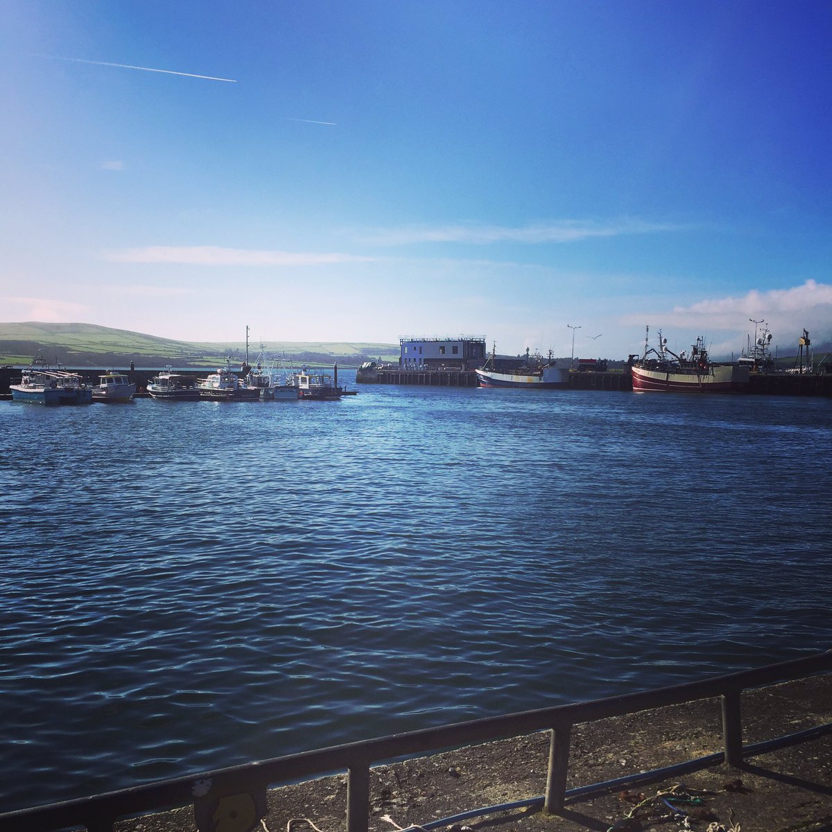 John Mitchels Ladies tweet media