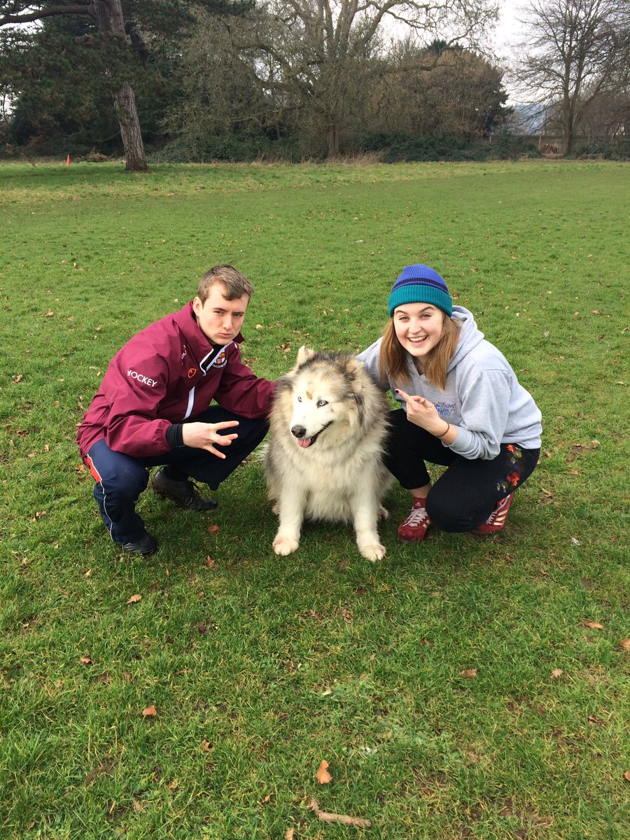TheMythagoBeast's tweet photo. Megs first friend #hugesideline #literally #dogorbear https://t.co/GZedBcgFHs