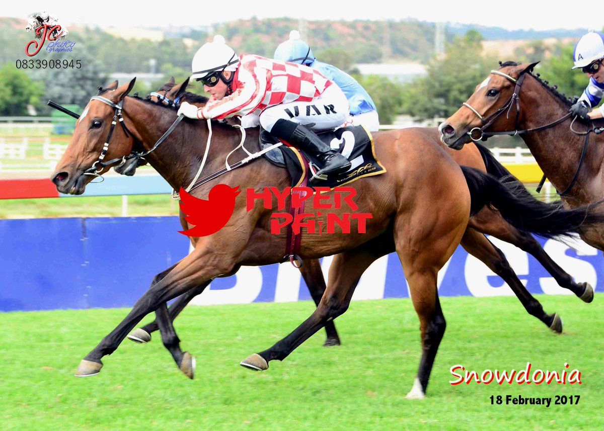 Racing @ The Big T - 18 FEB '17
Race 6 Winner: SNOWDONIA
TRAINER: PA Peter JOCKEY: *L Hewitson