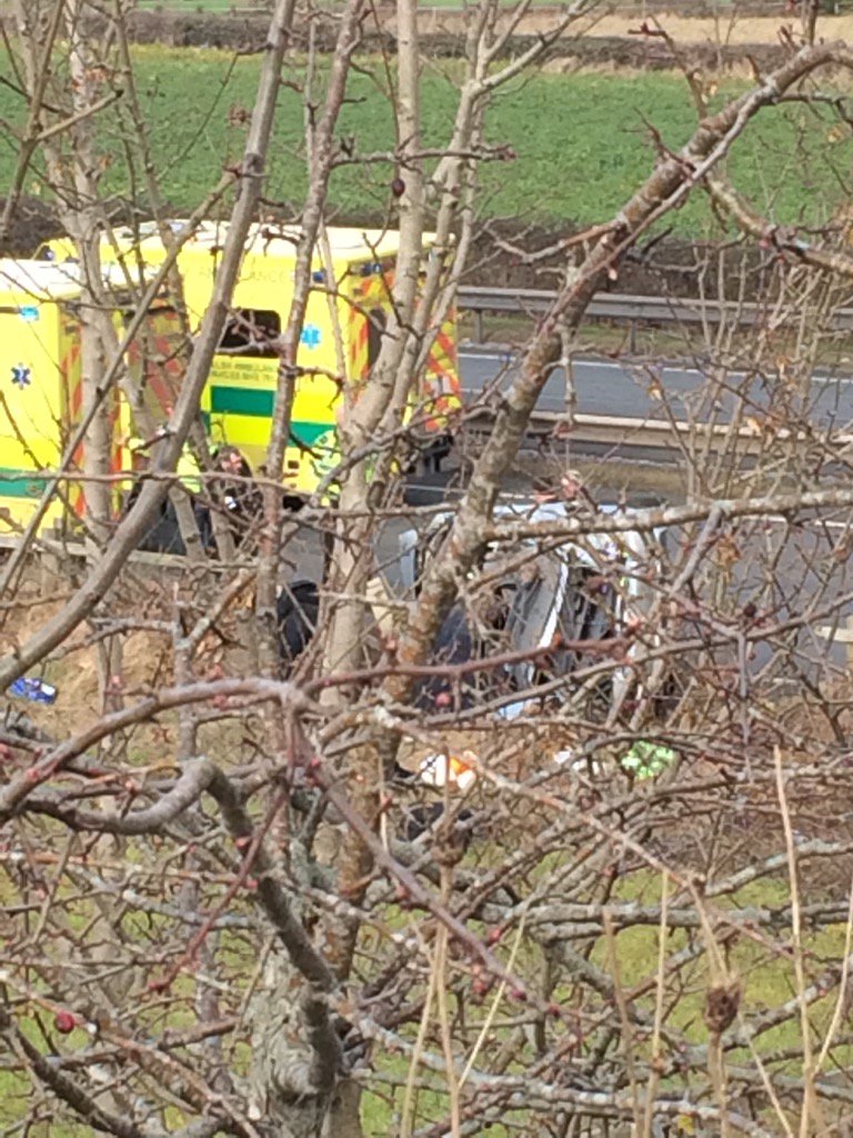 View image on Twitter