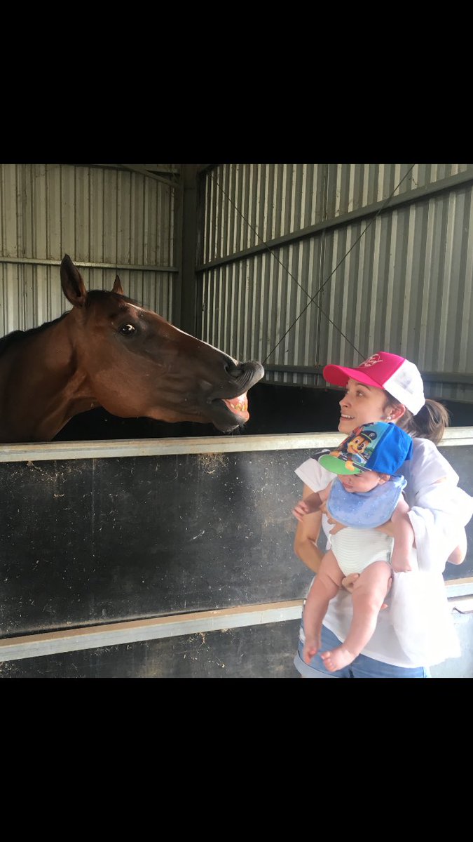 My little man told artie your a 1000m horse🐎