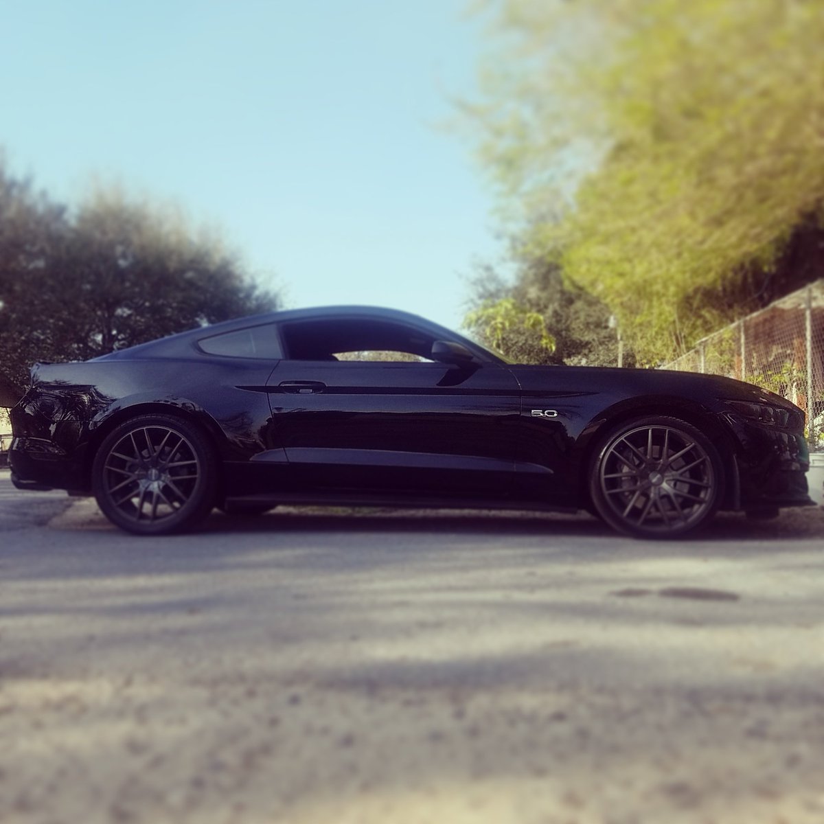 ChrisBelmares's tweet photo. My pride n joy 😎 https://t.co/6nIyb1zfUl