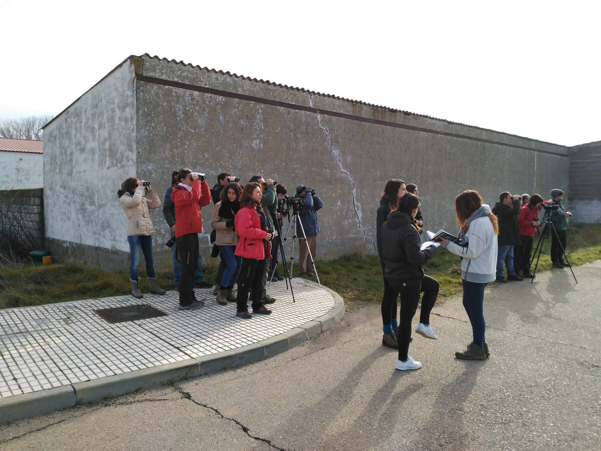 AquilaNatura's tweet photo. ¿Qué estarán viendo? Comenzando la jornada de campo del curso de identificación de rapaces ibéricas https://t.co/aYghwKqBIQ