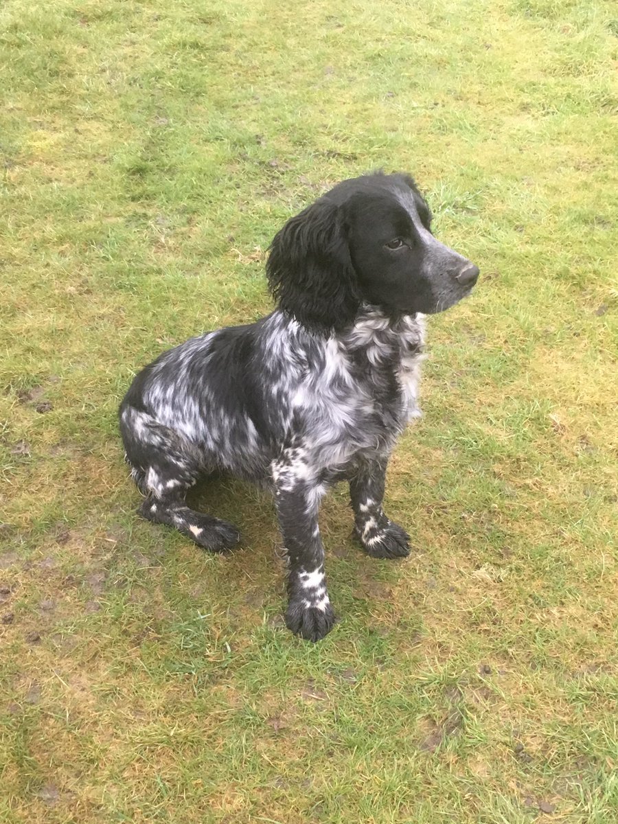 jamesmartinchef's tweet image. Going out