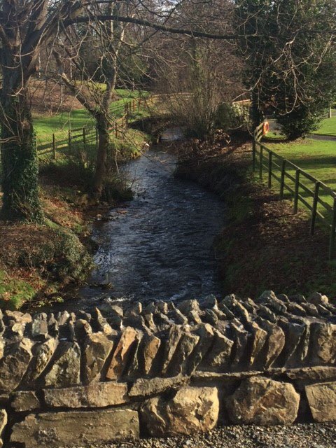 druidsglen's tweet photo. Check out our brand-new walking trail for all our guests to enjoy Find out more https://t.co/FPi3mOt7sU #druidsglen https://t.co/dlFqKIqGEr