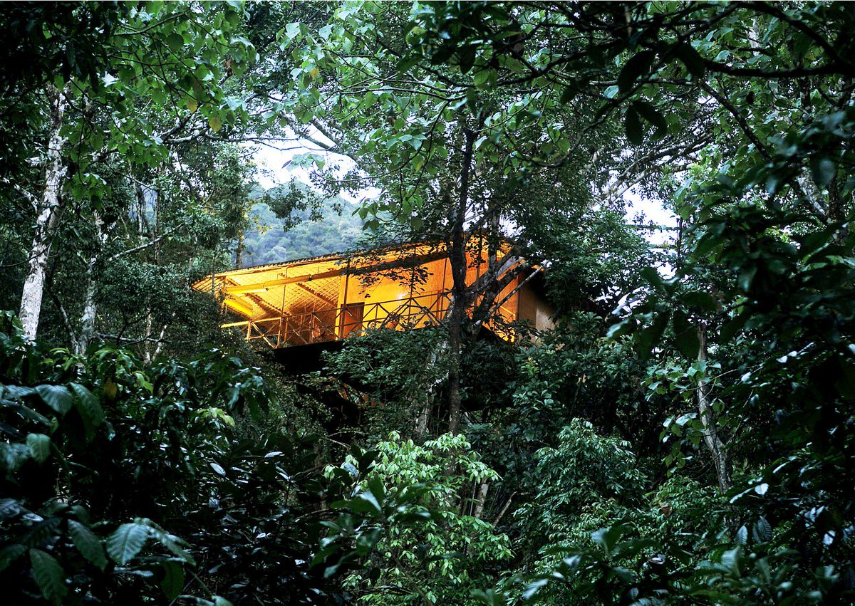dmcofmp's tweet photo. #TreeHouseHotels are the unique and most #exciting, #thrill and amazing experience of living in the lap of nature, surrounded by hills,.. https://t.co/SdSI2gcX62
