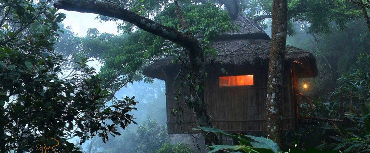 dmcofmp's tweet photo. #TreeHouseHotels are the unique and most #exciting, #thrill and amazing experience of living in the lap of nature, surrounded by hills,.. https://t.co/SdSI2gcX62