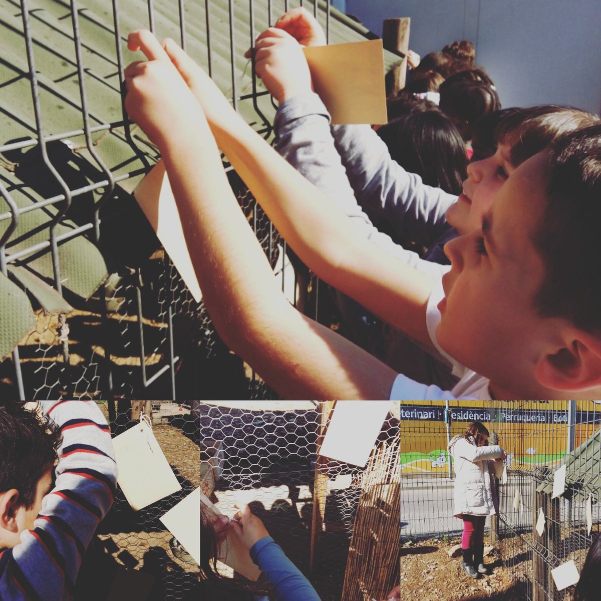 AuLab_edu's tweet photo. Ahir vam acabar l'activitat #art #Historia #installationart #landart al galliner #escolapiasalt @escolapiacat @MartholAlemany @fespavila https://t.co/SgUFSw3Za2