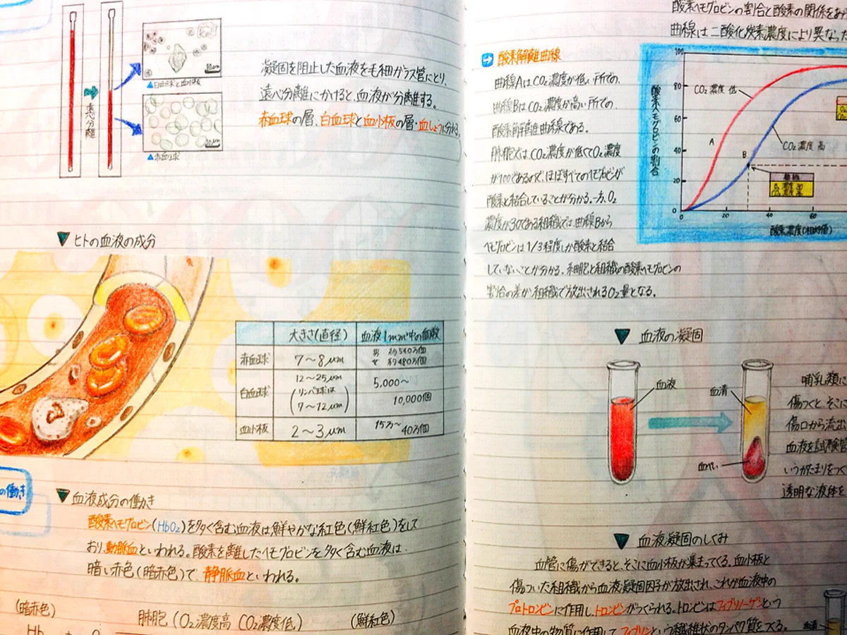 どれだけ時間かかったの？高1の時のノートのクオリティが高すぎるｗｗｗ