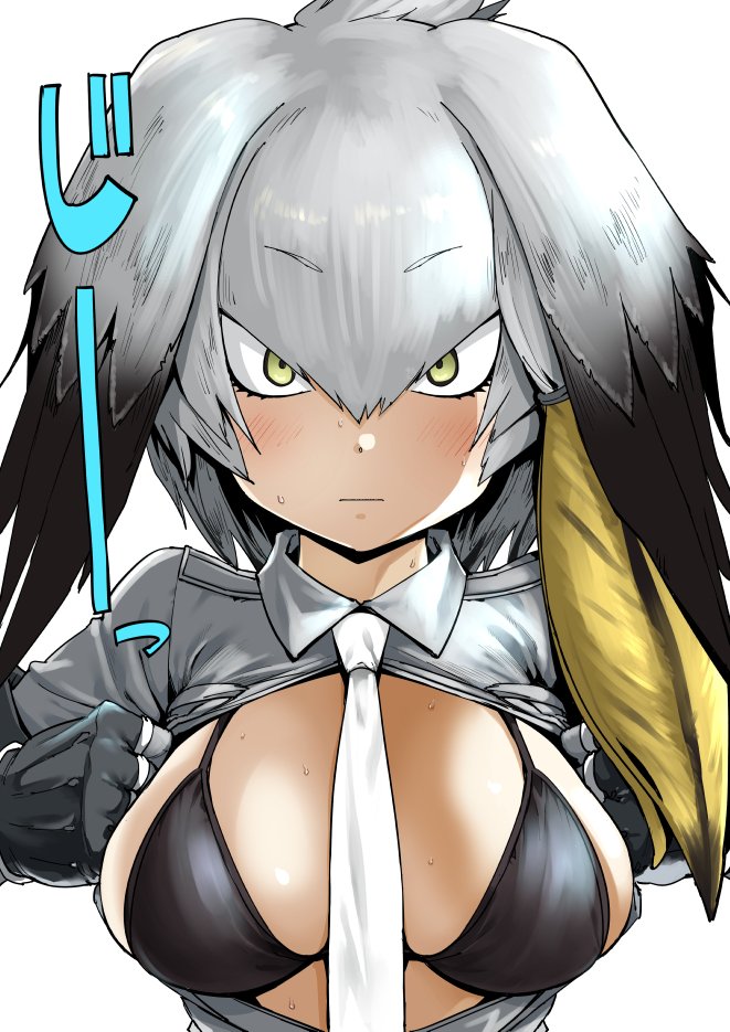 けものフレンズ イラストとかいろいろまとめ 76ページ目 Togetter
