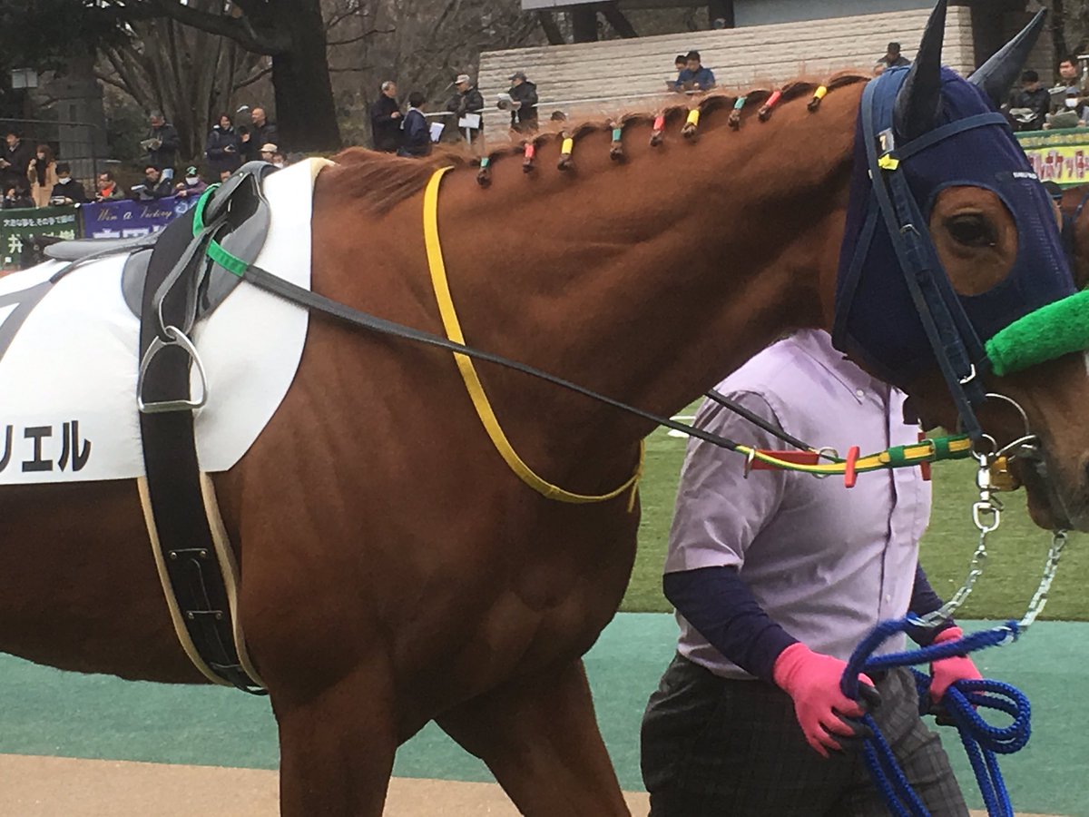 ガラドリエル Traola Twitterren