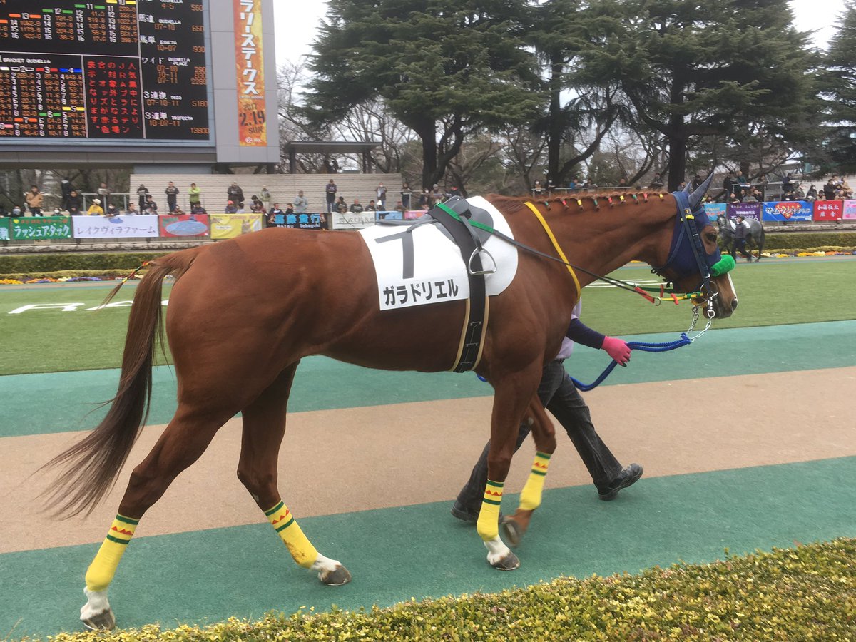 ガラドリエル Traola Twitterren