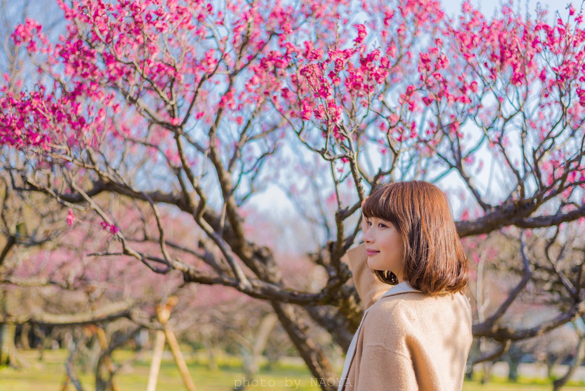 naphoto3's tweet photo. #美女
#Lovegraphアカデミー https://t.co/2MUresNcS0