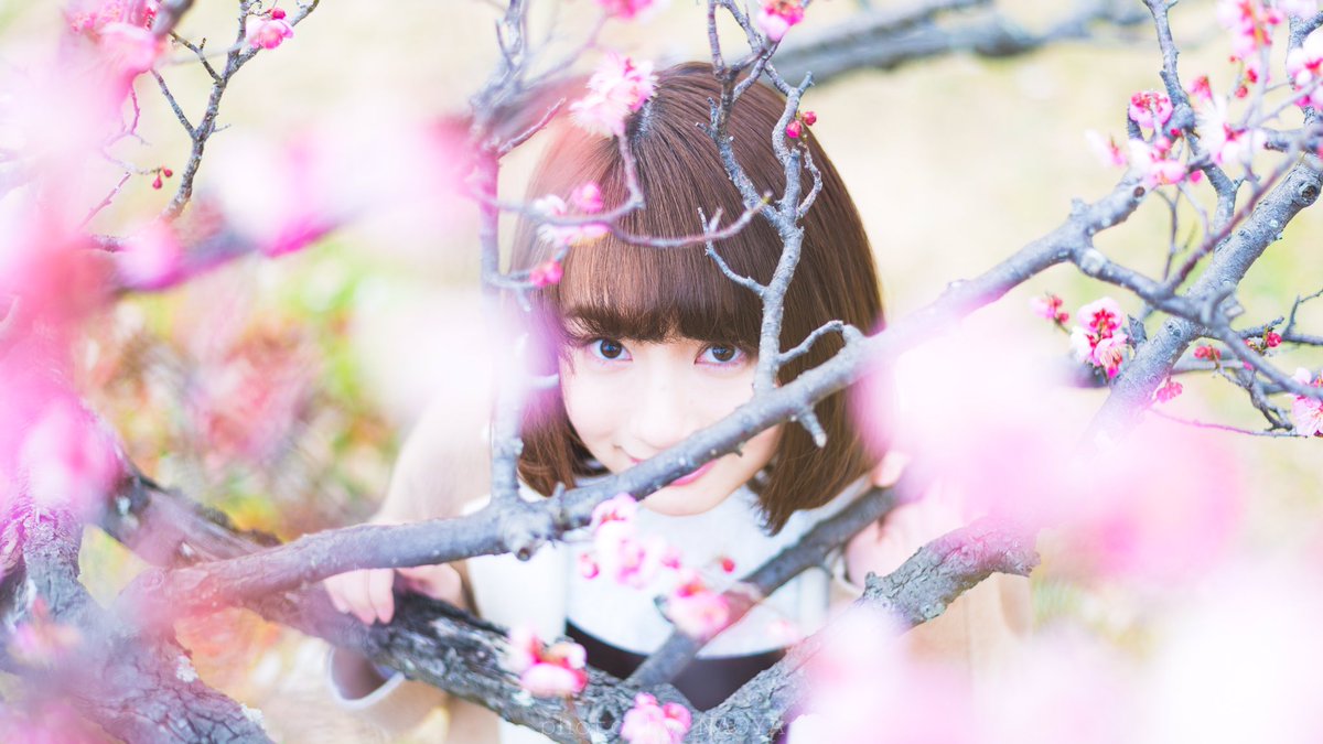 naphoto3's tweet photo. @naphoto3 https://t.co/kvDEehIRmX