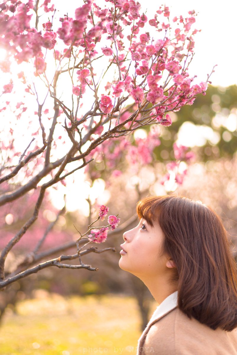 naphoto3's tweet photo. @naphoto3 https://t.co/kvDEehIRmX