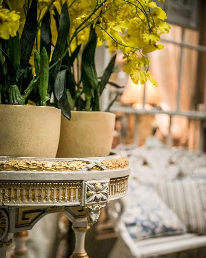 thestoreyard's tweet photo. Spring is in the air @ The Store Yard https://t.co/XfhSLwKQA5