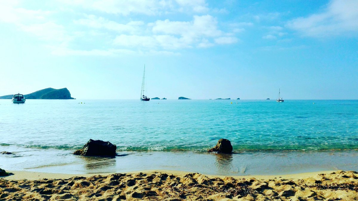 Privilege Ibiza tweet media