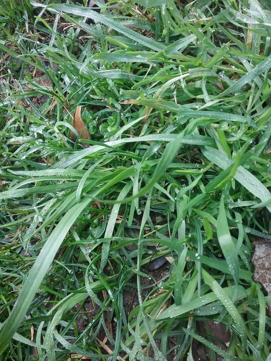 BCN Espai Públic tweet media