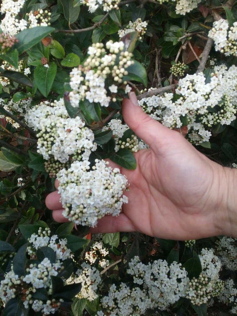 BCN Espai Públic tweet media