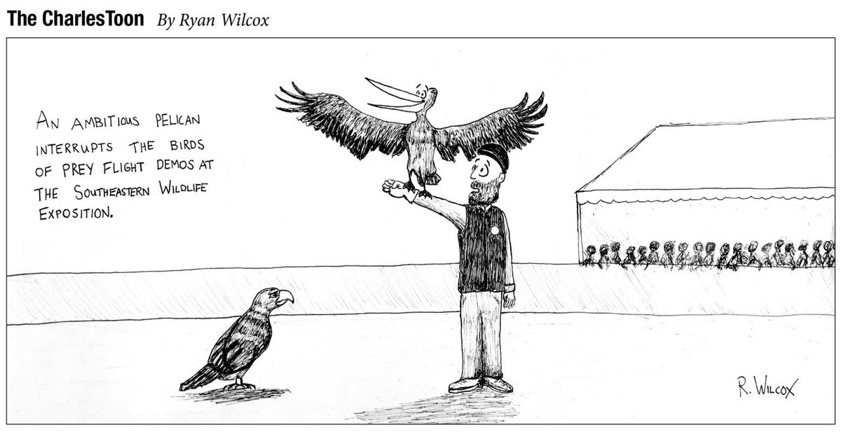 TheCharlesToon's tweet photo. The @SCBirdsofPrey flight demos start at 10:30 today @SEWE ! #SEWE2017 #chs #chsnews #CharlesToon #charleston #birds #cartoon @CRBJ https://t.co/HIfmKEQ2rO