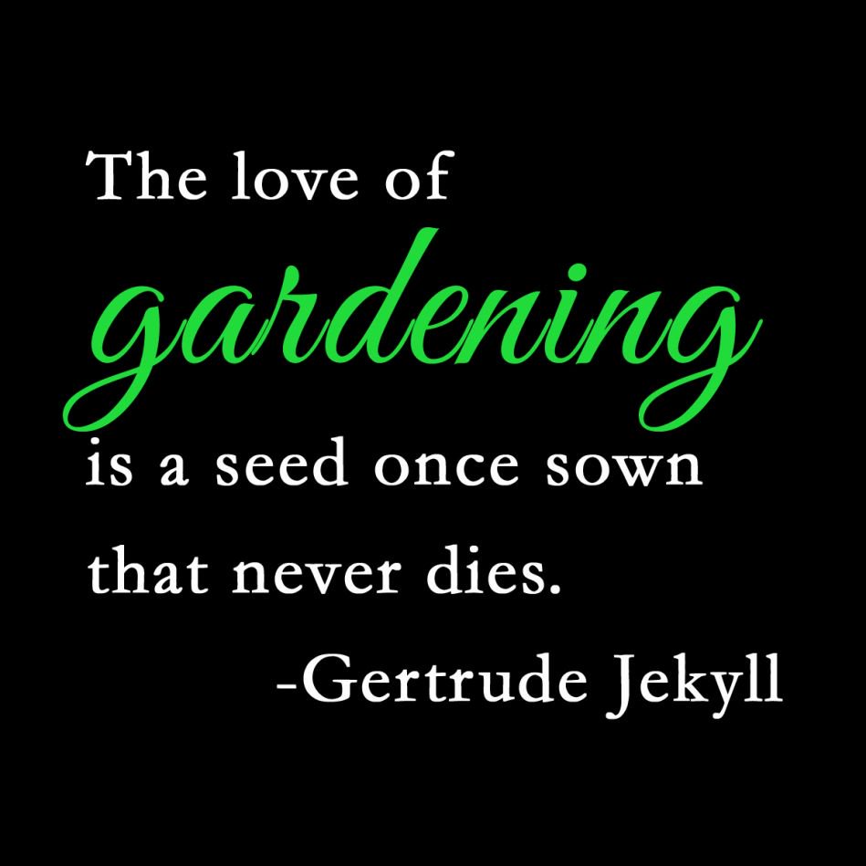 masara_om's tweet photo. #MasaraOman #GardeningQuote #GardeningServices #LandscapingInOman https://t.co/068nID8cPw
