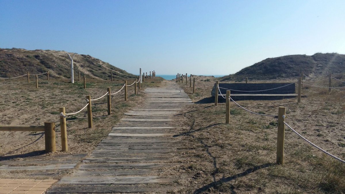 AntonioVizcain4's tweet photo. Hay muchas formas de disfrutar del buen clima y de la naturaleza de forma saludable. No lo dudes ven a @DevesaAlbufera y disfrutala https://t.co/niUPVYivxw