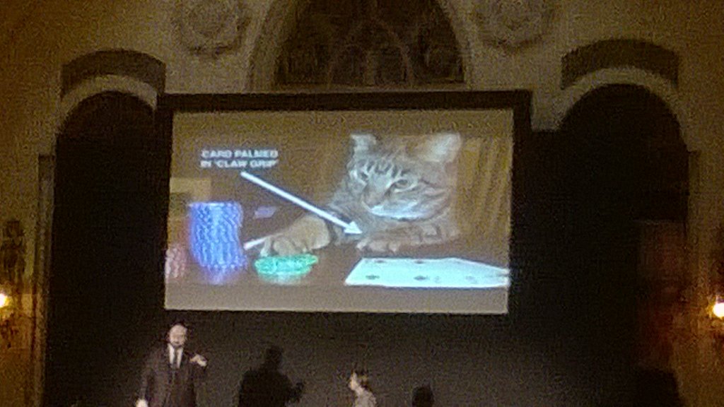 RicTynan's tweet photo. ##lukejermay #blackpoolmagic2017 History of Cats Who Cheat at Cards https://t.co/2xMGmbGfOt