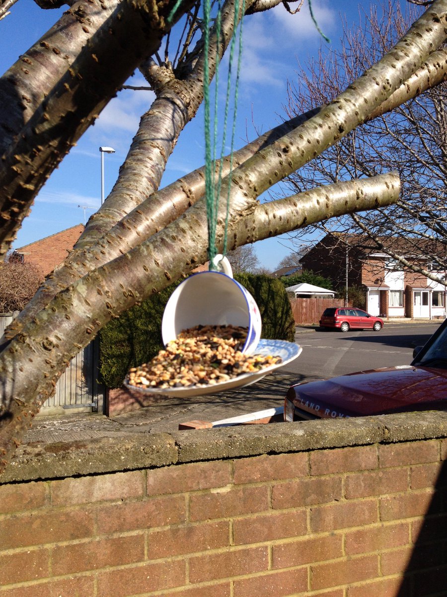 vikki_greir's tweet photo. @UptonInfant
Ellie's #muddychallenges
Bird feeder! Let's hope for a bird now! https://t.co/mLZJbzdF5V