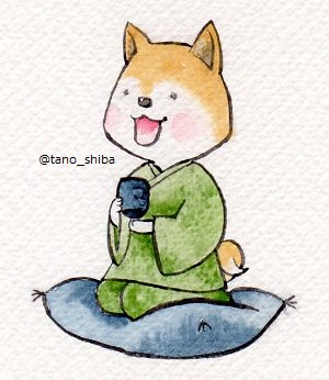Twitter இல だみー柴さん 犬用 ついでに 最近変えた