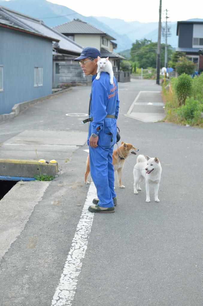 サビ猫だから サビ ネコおじさん 犬を散歩させようとするとのぉ 乗ってきよるんや