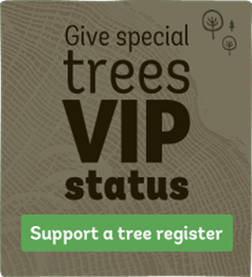 If you haven't already done so, please vote for #SycamoreGap in Europe's #TreeOfTheYear competition, we're so close! buff.ly/2jzDeS8