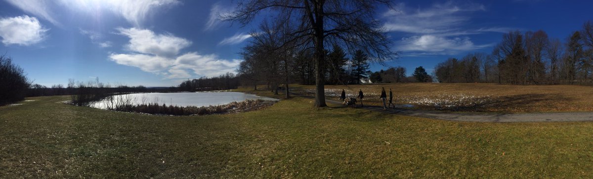 YelpBuffalo's tweet photo. Gorgeous day @ #Brewski2017 βοΈ https://t.co/InfZzV2wQX