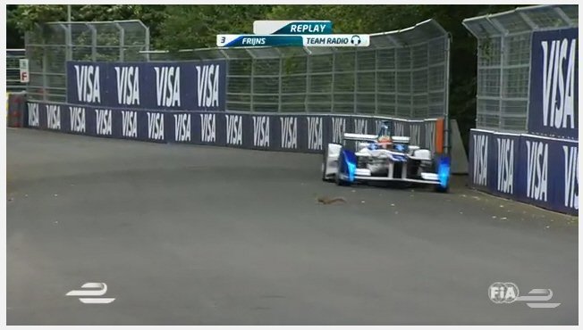AshleyUK99's tweet photo. @Current_E Sure it's Dog? not #LondonePrix #Esquirrel bulked up, and on holibobs ;) @FIAformulaE @f1elvis @dariofranchitti @Nickishields https://t.co/yRdfLl9NUk
