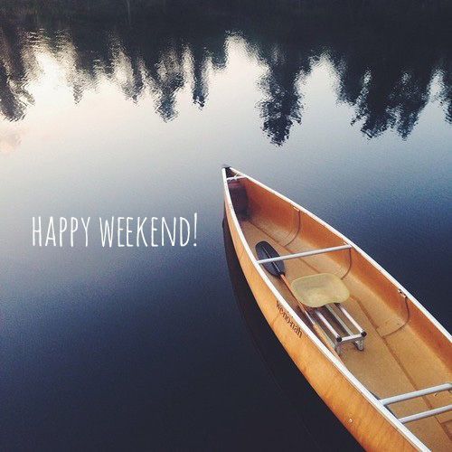 arborstorage tweet picture