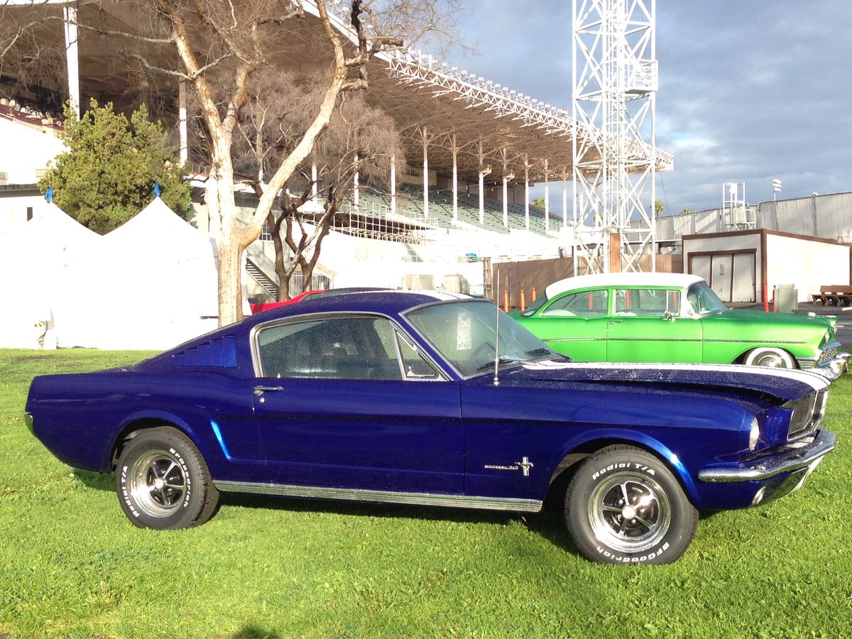 Beautiful morning at <a href="/mecum/">Mecum Auctions</a> LA! #mustang #pomona #mecum #auction #ford #musclecar