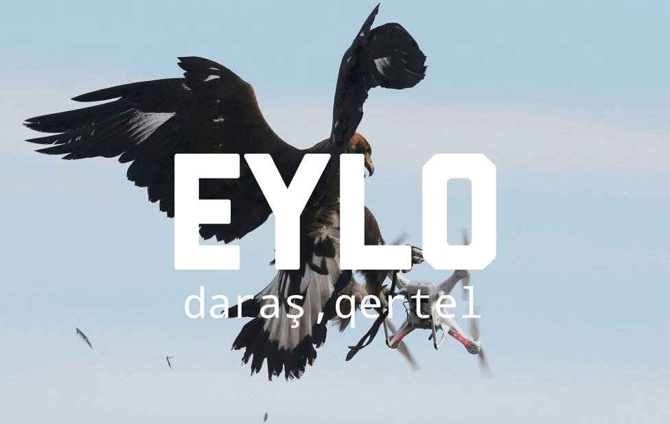BejeKurdi's tweet photo. Eyloyek zêrîn (Aquila chrysaetos,golden eagle) li dema temrîn a leşkerî a Frensa yê de dada Droneê . https://t.co/8Q3fOInJKO
